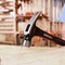 Arrow Fastener 20oz FBG. General Purpose Claw Hammer AHT02002 - alternate 8