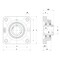 Ntn Thermoplastic Four Bolt Flange SUCFPL206-18 - alternate 3