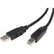 Startech.Com 10 ft USB 2.0 Certified A to B Cable - M/M USB2HAB10 - alternate 1