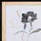 Homeroots Set Of Two Dark Ophelia Black Framed Print Wall Art, 2PK 484198 - alternate 8