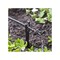 Raindrip Mini In-Line Dripper, 0.5 gph gph, Red, 25PK PC2025B - alternate 7