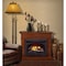 Procom Heating Dual Fuel Vent Free Gas Fireplace System, 26,000 BTU, T-Stat Control, Heritage Cherry Finish FBNSD28T-MHC - alternate 2