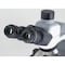 Motic Instruments Usa Panthera E2 Trinocular 50:50 Compound Upright Microscope 1100104601126 - alternate 4