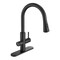 Anzzi Sunset 4-in-1 Single Handle 17.5 in. Faucet with Boiler Tank and Filter in Matte Black KF-AZ401MB - alternate 10