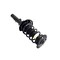Fcs Struts Suspension Strut And Coil Spring Assembly 2335795L - alternate 5