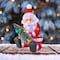 Lumineo LED Santa 20 in. Yard Decor 9922096 - alternate 4