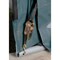Shelterlogic ShelterCoat 15 x 28 x 12 ft Green Wind And Snow Rated Garage Round 95334 - alternate 11