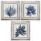 Homeroots 22" X 22" Silver Frame Coastal Seaweed, Set Of 3, 3PK 365754 - alternate 1