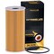 Premium Guard Engine Oil Filter,  PG99090EX - alternate 1