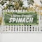 Signmission Farm Fresh Spinach, 36 Inch x 96 Inch, Vinyl Banner B-96-30615 - alternate 5