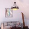 Vaxcel Bozeman 4-Light 24 in. Wide Burnished Bronze Rustic Bear Bowl Pendant Light Amber Glass PD55724BBZ - alternate 8