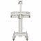 Tripp Lite MOBILE CART W/ MONITOR ARM TAA WWSS1DWSTAA - alternate 2