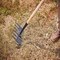 Corona Tools McLeod Hoe SH 65000 - alternate 4