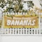 Signmission Farm Fresh Bananas, 24 Inch x 72 Inch, Vinyl Banner B-72-30576 - alternate 4