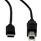 Rocstor CBL USBC TO USB-B USB TYPE-C M Y10C141-B1 - alternate 1