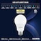 Luxrite A19 LED Light Bulb 60 Watt Equivalent, Non-Dimmable, 3000K Soft White, 800LM, Standard LED, 8PK LR21531 - alternate 6