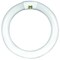 Feit Electric Fluorescent Bulb, 40 W, T10 Lamp, G10Q Lamp Base, 4100 K Color Temp, Cool White Light FC16T10/CW - alternate 8