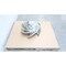 Goulds Water Technology STAINLESS 6-VANE PUMP IMPELLER 22IN OD 3175LT 16X18-22 - alternate 4