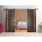 Sartodoors Sturdy Double Barn Door with Hardware Planum 1010 Solid Core Modern Interior PLANUM1010DB-CA-36 - alternate 1