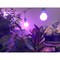 Miracle Led Keep'em Alive Plant Survival Grow Light Kit, 6.5KK Purple Spectrum, 2PK 803410 - alternate 4