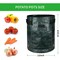Ipower Potato Grow Bags 7 Gallon with Flap, Sturdy Handles and Harvest Windows, Green, 3PK GLGROWBAGWINDOWPE7X3 - alternate 6
