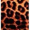 Coverking SEATBELT CUSHION DESIGNER VELOUR CHEETAH M2A9 - alternate 2
