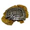 Agco CHAIN, AGCO OEM 113931M1 113931M1 - alternate 1