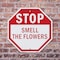 Signmission Stop Smell the Flowers, 6 inch X 6 inch, Plastic Sign, 2PK OC-P-2PACK-6-65 - alternate 6
