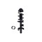 Fcs Struts Suspension Strut And Coil Spring Assembly 2337127R - alternate 1