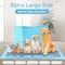 Scratchme FluffyDream Ultra Charcoal Dog Training Pads with Leak-Proof Quick-Dry Urine Odor Design for Potty PTPUPYPAD100MSCS - alternate 6