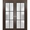Sartodoors Solid French Double Doors Frosted Glass Planum 2122 60x84 (2* 30x84) Solid Core Modern Interior PLANUM2122DD-CA-60 x 84 (2* 30x84)-Butterfly - alternate 1