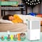 Edendirect 22 pt 2000 sq ft Dehumidifier for Home in White with Bucket with Drain Hose ZR-OL12-D031B - alternate 5