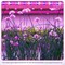 Ipower 20W Full Spectrum LED Plant Grow Light Strips for Indoor Plants with Auto ON/Off 3/9/12H Tim GLLEDXSTRIPSMIX20T - alternate 5