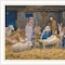 Homeroots The Birth of Christ White Framed Wall Art 572094 - alternate 4