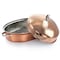 Gibson Home Radiance 17.5 Inch Stainless Steel Copper Plated Oval Roaster with Lid and Roasting Rack 127792.03 - alternate 8