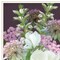 Homeroots Set Of Two Lilac and Wild Plum Bouquet White Framed Print Wall Art, 2PK 407988 - alternate 5