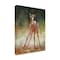 Trademark Fine Art Outdoor Canvas Art - David Stribbling 'first steps' Wall Art for Patios, or Gardens GRL01616-OC1419WR - alternate 1