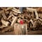 Milwaukee Tool 5lb Splitting Wedge 48-22-9065 - alternate 8