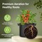 Ipower HealSmart Plant Grow Bags 2 Gallon, Tomoato Planter Pots with Handles, Black 2024 Version, 10PK GLGROWBAG2X5BLKV5X2 - alternate 5