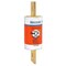 Ferraz Shawmut 1.62in x 5.75in, 600 VAC 50/60 Hz/500 VDC, 125 A, 200 kA AC/100 kA DC Interrupt, GMG Body,  AJT125 - alternate 4
