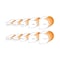 Cmt BEAD & BULL NOSE BIT D=1-1/8inx1in R=1/4in S=1/4in 854.004.11 - alternate 4