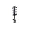 Fcs Struts Suspension Strut And Coil Spring Assembly 1331591R - alternate 4