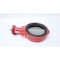 Bray WAFER BUTTERFLY VALVE 6IN SERIES 30 - alternate 4