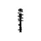 Fcs Struts Suspension Strut And Coil Spring Assembly 1333944L - alternate 1