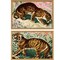 Homeroots Set Of Two Concrete Jungle Cats Framed Art Gold Picture Frame Print Wall Art, 2PK 416358 - alternate 1