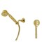 Kingston Brass Hand Shower Kit, Polished Brass KX1032BE - alternate 1