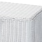 Bali & Pari Palm Bohemian White Scallop Rattan Console Table 252-14099-ZORO - alternate 7
