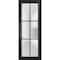 Sartodoors Slab Barn Door Panel Frosted Glass Lite Planum 2122 Black 36x80 Solid Core Modern Interior PLANUM2122S-BLK-36 x 80 - alternate 1
