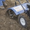 Powerhorse Rear Tine Tiller, 20-In. Width, 6.5 Depth, 212CC 115070 - alternate 9