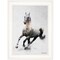 Homeroots Galloping Stallion 1 White Framed Print Wall Art 405086 - alternate 1